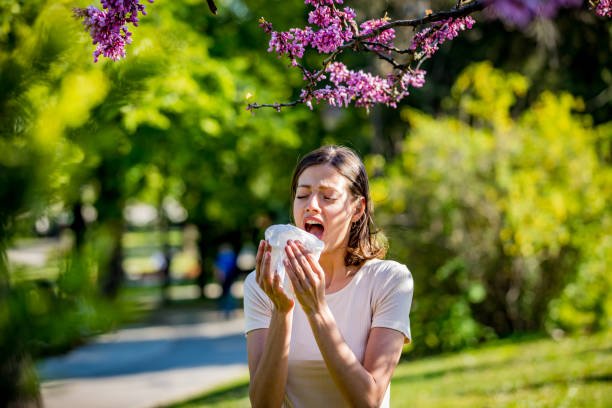 Combat Allergies